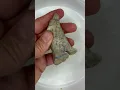 How to Carve a Wolf in Soapstone Full Step-by-Step Tutorial