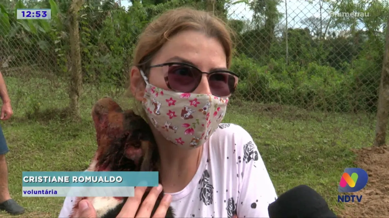 Resgatado cão que ficou preso por 10 horas em tubulação