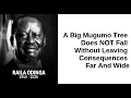 Download Lagu Raila Passes On: Analysis
