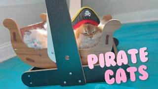 Kittens Search For Lost Treasure