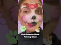 Puppy Face Paint for the Cork Summer Show Pet Dog Show