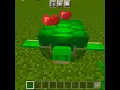 how to tame turtle in Minecraft