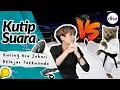 Download Lagu Kutip Suara : Kucing Ara Johari Belajar Taekwondo !
