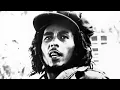Bob Marley & The Wailers ::: Rarities, The Early Years https://www.bobmarley.com/