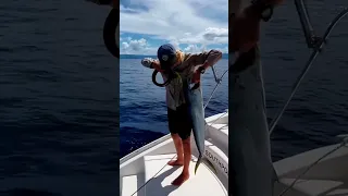 Fish = dinner 🐟 good job pulling it in and filleting it Finn! #sailingfamily #fishing #sailinglife