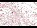 GIS Lab Part 3 DEM Data and Contour Generation with OpenTopography Map Design and Exporting