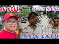 Download Lagu Tin nóng : Tin mật \