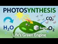 Grade 11 Photosynthesis Life s Green Engine