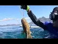 Download Lagu #صيادين لا يعرفون اليأس                                             #fishing #fish #ترند #اكسبلور 