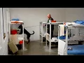 K9s working at Pinal County jail