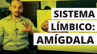 Sistema Límbico - Amígdala - Professor Matheus Milan