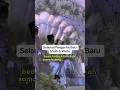 Download Lagu Menikahi Janda atau Duda