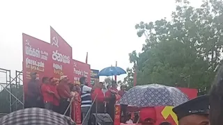 Npp වැල්ලවාය මැයි රැලිය