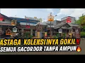 ASTAGA… KOLEKSI BURUNG DI RUMAH INI‼️ SEMUANYA GACOR DOR TANPA AMPUN🔥