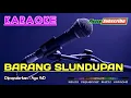 Lagu BARANG SLUNDUPAN -Ayu WD- KARAOKE