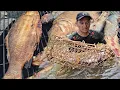 Download Lagu ' Unbelievable Catch! So Many Different Fish in just One Net\