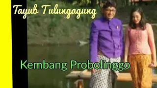 Download TAYUB TULUNGAGUNG KEMBANG PROBOLINGGO MP3