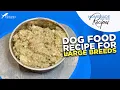 Dog Food Recipe for Large Breeds