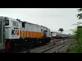 momen spesial kereta api gajayana rangkaian panjang masuk stasiun wlingi