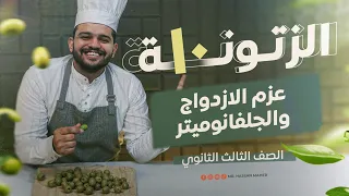 تالتة ثانوي الزتونة 10 عزم الازدواج والجلفانوميتر 