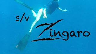 Freediving in the Cayman islands | Sailing Zingaro