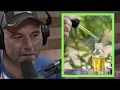 Joe Rogan CBD is One of the Best Things I ve Ever Tried for Anxiety