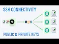 Configuring SSH connectivity between hosts
