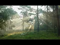 Download Lagu dreaming of a magical forest ✨ (an instrumental playlist)