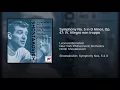 Symphony No. 5 in D Minor, Op. 47: IV. Allegro non troppo