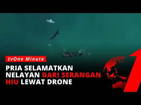 Tertangkap Kamera Drone, Pria Ini Berhasil Tolong Nelayan yang Tengah Menangkis Serangan Hiu