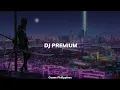 Download Lagu DJ Premium (slowed\u0026reverb)
