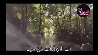 ربي لقاك غايتي وبغيتي دندنها