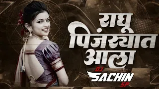 raghu pinjryat ala bob marley mix by dj sachin sp