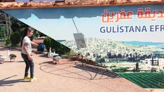 فلوك جديد في حي الأشرفية حديقة عفرين Gulstana Efrînê 