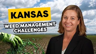 Weed Management Tips - Dr Sarah Lancaster