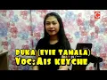 Download Lagu DUKA EVIE TAMALA
