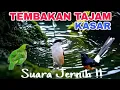 Lagu masteran !! TEMBAKAN KASAR,TAJAM suara jernih.materi kesukaan JURI.!!
