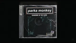 Parka Monkey - Diamond in the Dark Liam Gallagher Vocal Cover