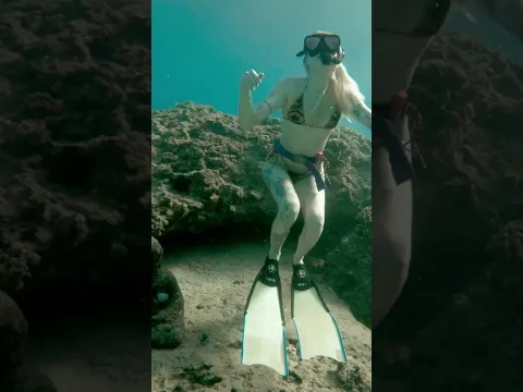 this fish wants to fight
