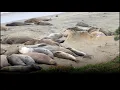 "20 years later" music video