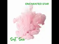 Enchanted Star