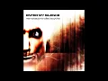 ENTER MY SILENCE - Irrelevant...