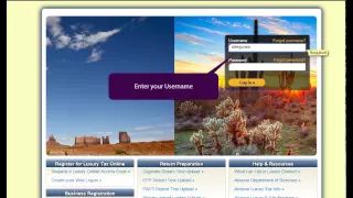 Arizona Luxury Tax Online - First a Password
