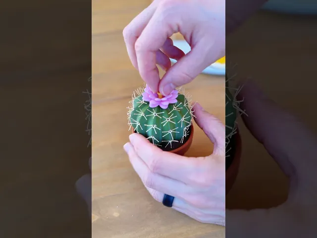 Spikey Spices - Cactus Salt and Pepper Shaker video thumbnail