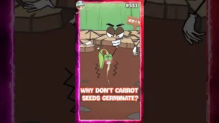 S551 Why Don T Carrot Seeds Germinate Animation 