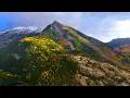 Download Lagu Beautiful Relaxing Hymns, Peaceful Music, \