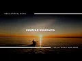 Download Lagu Lagu Daerah Sumatra Selatan yang membuat orang yang mendengarnya merinding: Gending Sriwijaya