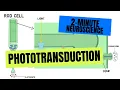 2-Minute Neuroscience Phototransduction