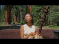 Sequoia Suns 1 hour - Healing Ngoni Music