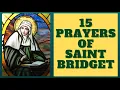 15 Prayers of St Bridget of Sweden - - 1 Year Devotion New